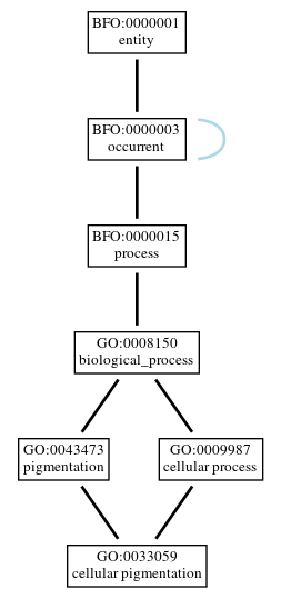Graph of GO:0033059