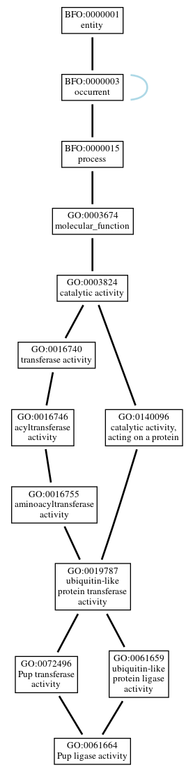 Graph of GO:0061664