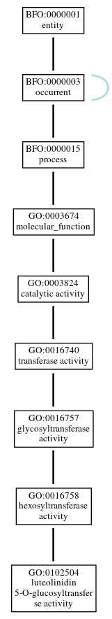 Graph of GO:0102504