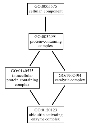 Graph of GO:0120123