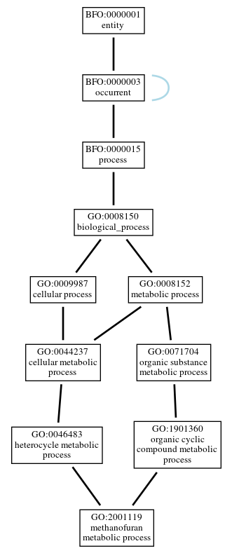 Graph of GO:2001119
