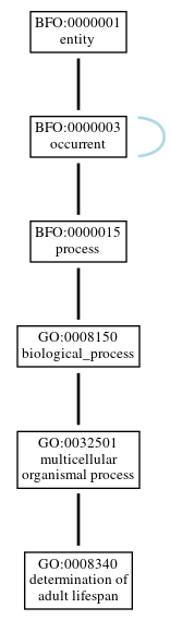 Graph of GO:0008340
