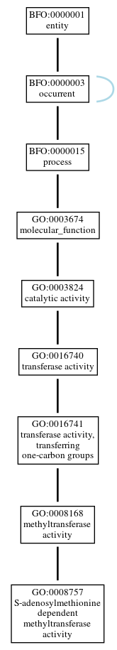Graph of GO:0008757