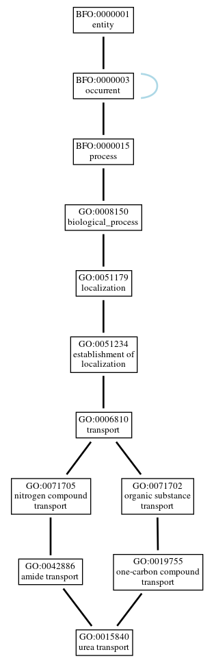 Graph of GO:0015840