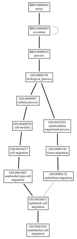 Graph of GO:0043542