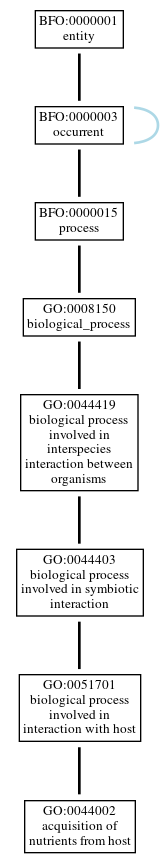 Graph of GO:0044002