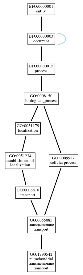 Graph of GO:1990542