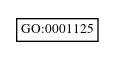 Graph of GO:0001125