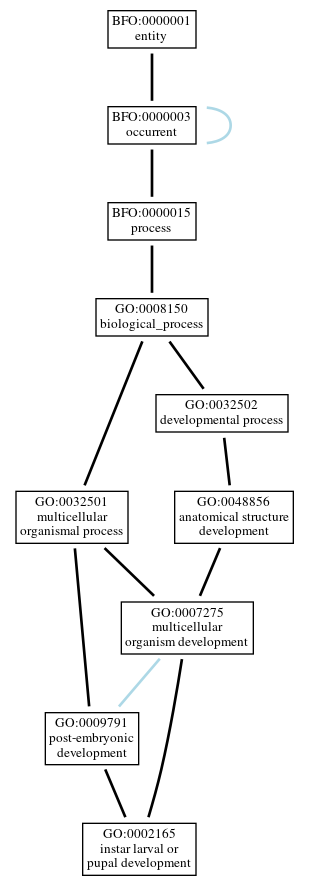 Graph of GO:0002165