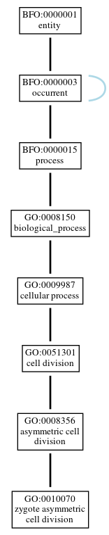 Graph of GO:0010070