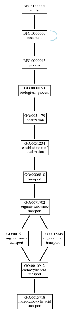 Graph of GO:0015718