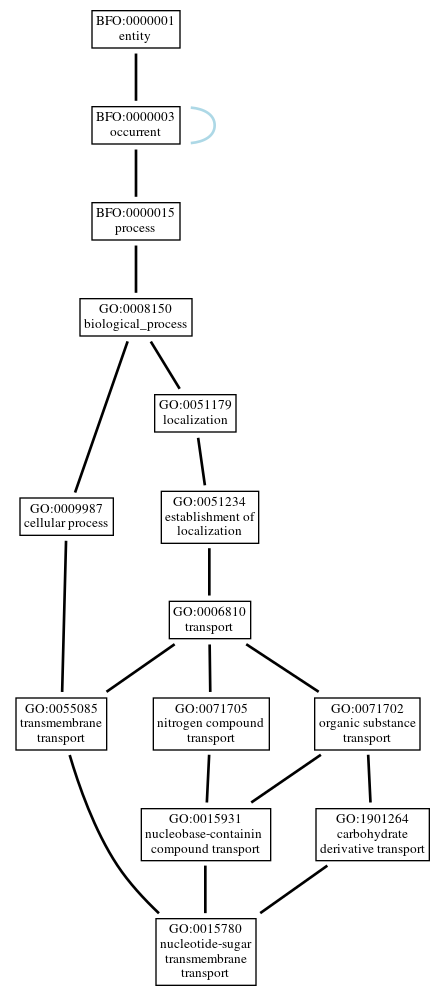 Graph of GO:0015780
