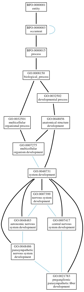 Graph of GO:0021783