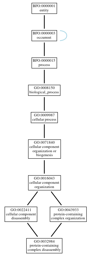 Graph of GO:0032984