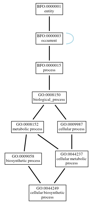 Graph of GO:0044249
