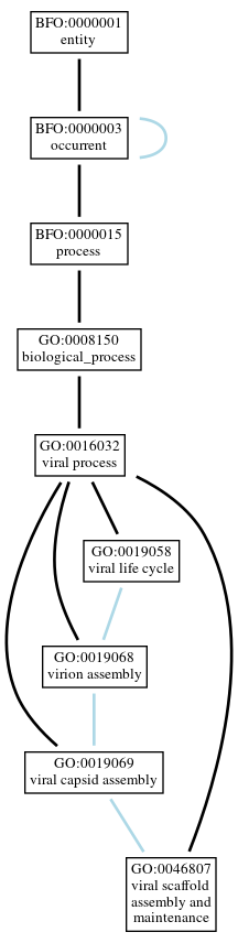 Graph of GO:0046807