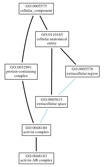Graph of GO:0048183