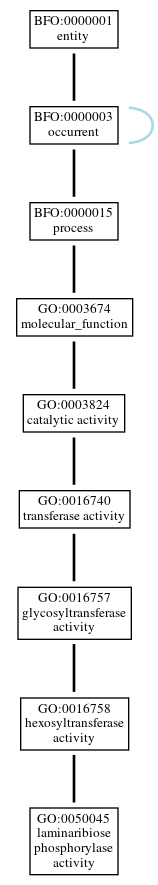 Graph of GO:0050045
