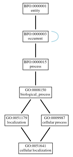 Graph of GO:0051641