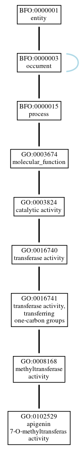Graph of GO:0102529