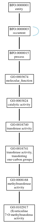 Graph of GO:0102917