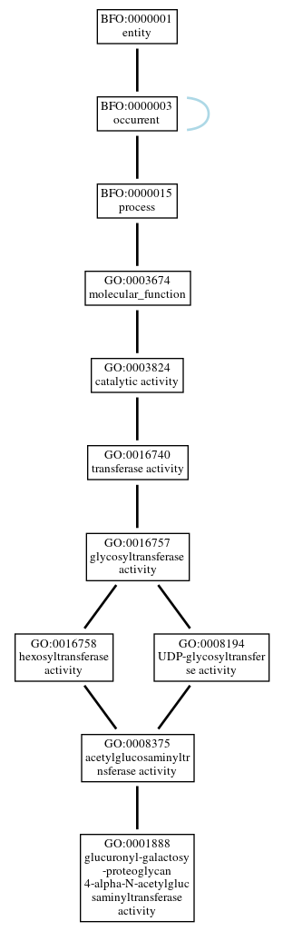 Graph of GO:0001888