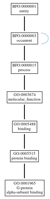 Graph of GO:0001965