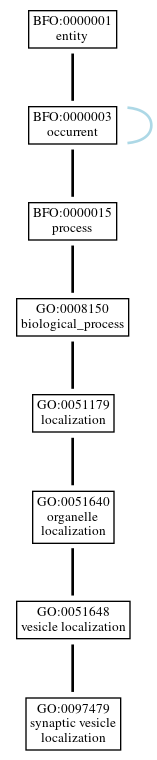 Graph of GO:0097479