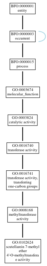 Graph of GO:0102624