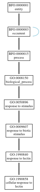Graph of GO:1990858