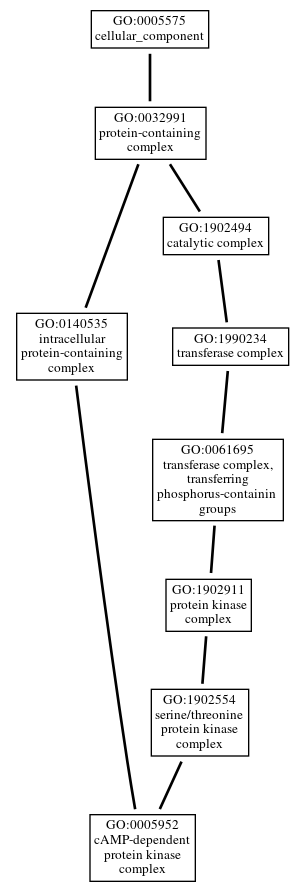 Graph of GO:0005952