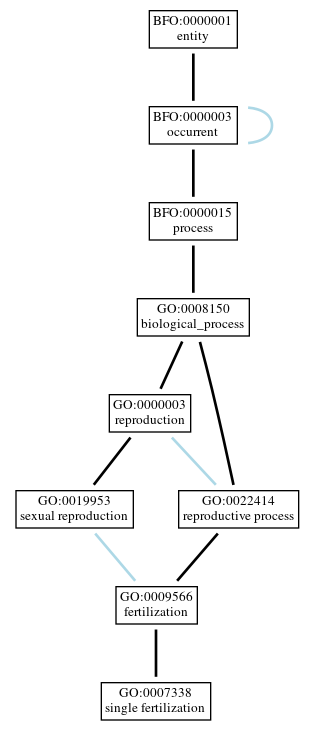 Graph of GO:0007338