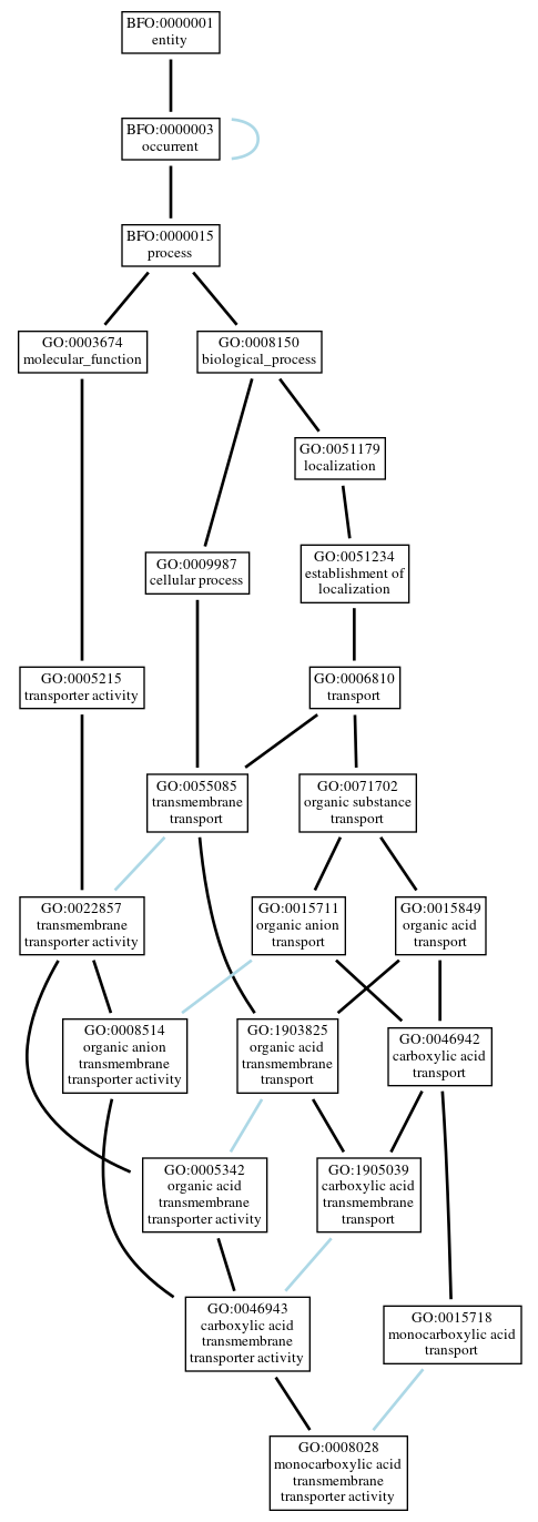 Graph of GO:0008028