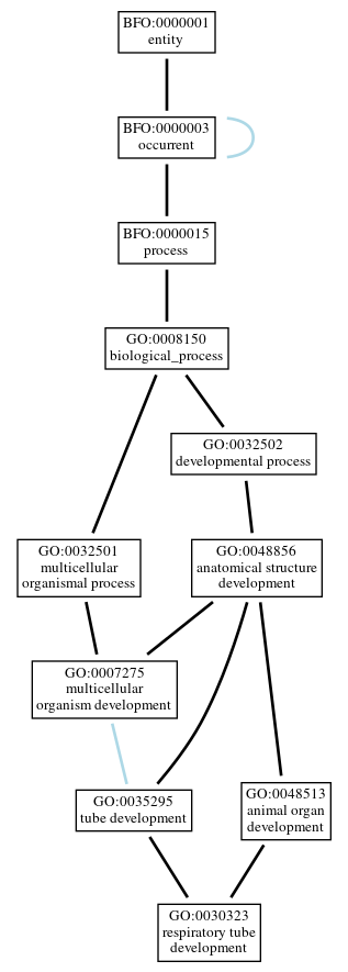 Graph of GO:0030323