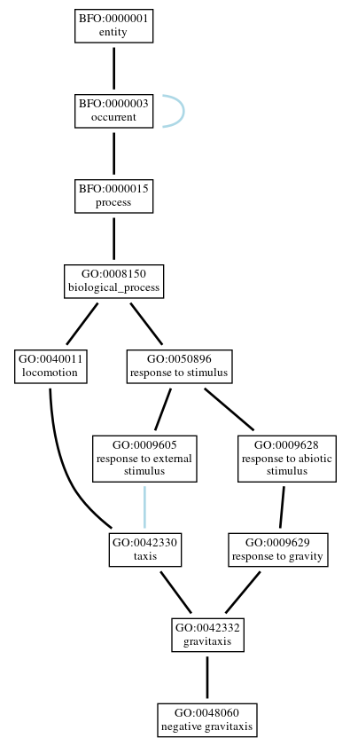 Graph of GO:0048060