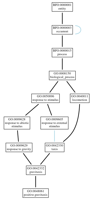 Graph of GO:0048061