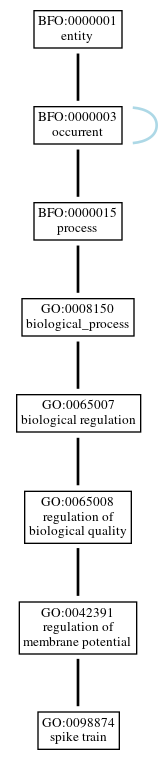 Graph of GO:0098874