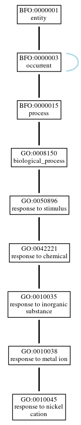 Graph of GO:0010045