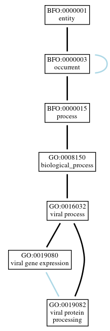 Graph of GO:0019082