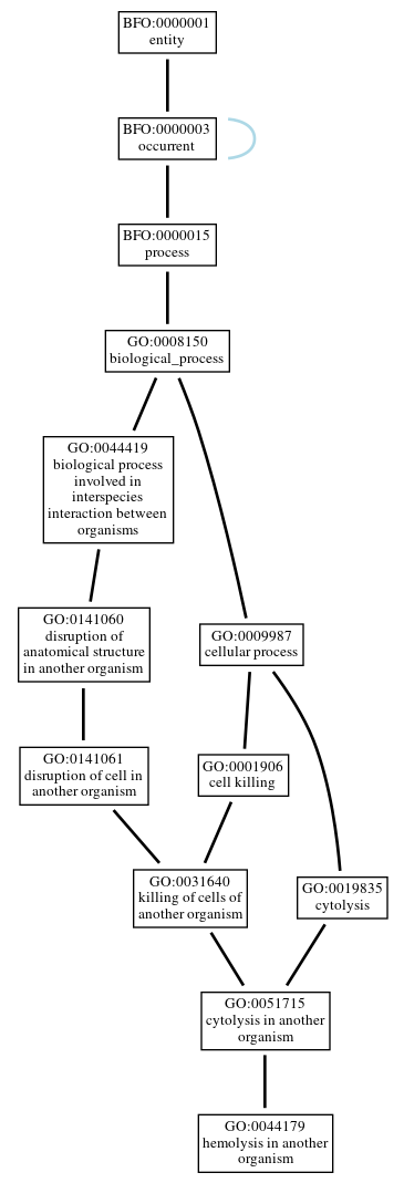 Graph of GO:0044179