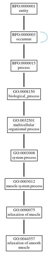Graph of GO:0044557