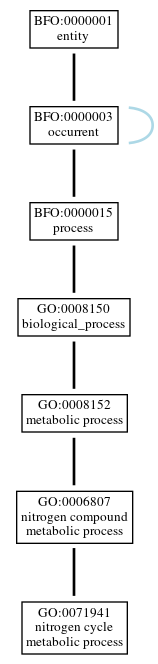 Graph of GO:0071941