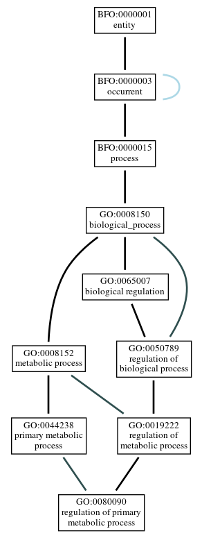 Graph of GO:0080090