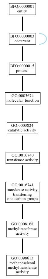 Graph of GO:0098613