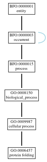 Graph of GO:0006457