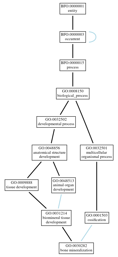 Graph of GO:0030282