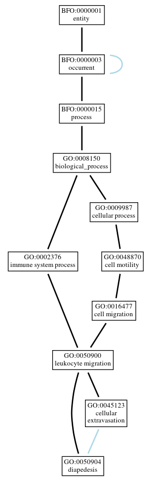 Graph of GO:0050904