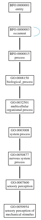 Graph of GO:0050954