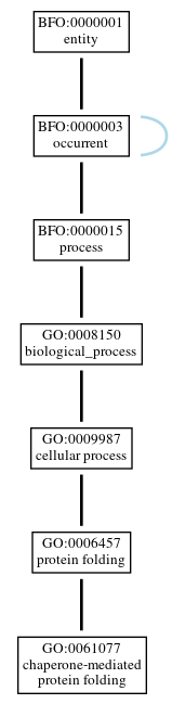 Graph of GO:0061077
