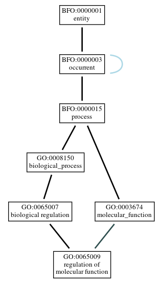 Graph of GO:0065009